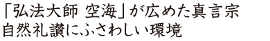 「弘法大師 空海」が広めた真言宗自然礼讃にふさわしい環境の大師寺