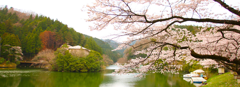 大師寺近隣「鎌北湖畔」イメージ