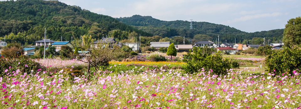 樹木葬トップイメージ